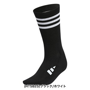 AfB_XSt 2025NH~f N[ X[XgCv NbV\bNX MGR52y25z