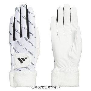 AfB_XSt 2025NH~f EH[ RtH[g StO[u p ~p JUT47y25z