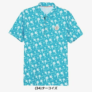 ApXB 2025Ntăf Y \PAvebh  XLbp[ Vc AMS9685X9y25z