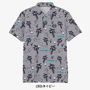 ApXB 2025Ntăf Y \PAvebh  |Vc AMS9725X4y25z