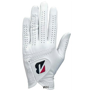 12聚ySiΏہIGg[Ń|Cg3{IzuaXgSt Y TOUR PREMIUM VRvirvj StO[u p GL2500 葕py25z