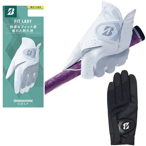 uaXgSt fB[X FIT LADY StO[u p GL25L3 葕p Ўpy25z