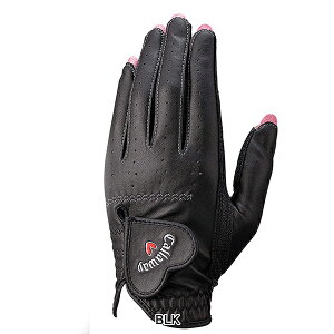 LEFCSt fB[X GL CG NAIL DUAL WMS StO[u py25z