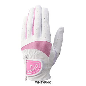 LEFCSt fB[X GL CG SOLAIRE DUAL WMS StO[u py25z