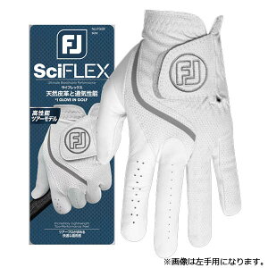 tbgWC Y 25 TCtbNX StO[u Ep FGSF25LH E葕py25z