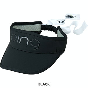 sSt fB[X N[ { oCU[ HW-L2504 PINGy25z