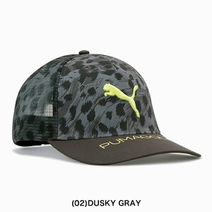 v[}St 2025NH~f Y St t[OtBbN Lbv 027115y25z