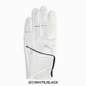 v[}St 2025Ntăf X[p[^b` StO[u p 042107 PUMA GOLF y25z
