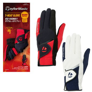 e[[Ch 2025NH~f Y T-HEAT ~p StO[u p TL608y25FWz