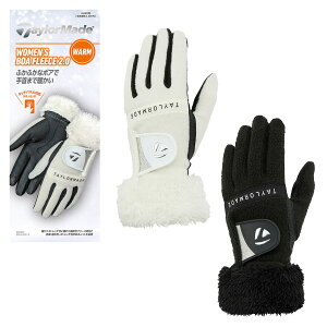 e[[Ch 2025NH~f fB[X W {At[X yA ~p StO[u p TL609y25FWz