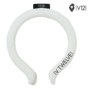 12聚ySiΏہIGg[Ń|Cg3{IzV12 2025Ntăf jZbNX VT MAGIC ICE lbNN[[ V122310-AC20y25z