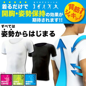 12聚ySiΏہIGg[Ń|Cg3{Izg kirudake 邾 L_P(n[hE~fBAE\tg) (GT-1411) Ƃ Sg