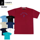 【ネコポス対応】インザペイント IN THE PAINT アッパーアーチ ロゴ Tシャツ ITP26002 メンズ レディース バスケ 半袖
