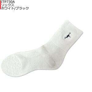 ylR|XΉzIN THE PAINT CUyCg ITP730A \bNX oXP C ob\N