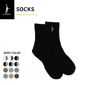 ylR|XΉzIN THE PAINT CUyCg ITP730F24 \bNX oXP C ob\N