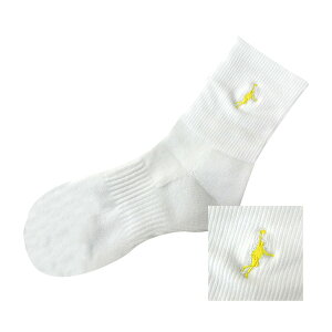 ylR|XΉzIN THE PAINT CUyCg ITP730HD \bNX oXP C ob\N