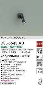 ����d�@ DSL-5542YB �X�|�b�g���C�g �񒲌� �d���F LED���� �v���O�^�C�v �O���A���X ��