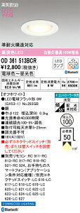 OD361513BCR I[fbN _ECg 100 zCg LED F  Bluetooth
