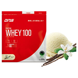 DNS veCzGC100 630g ؓ ؃g v  } _CGbg  Ai{bN A`J^{bN