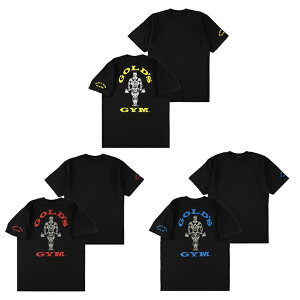 GOLD'S GYM obNvgST G2270 S[hW g[jO obNS g[j[ EFA {TCY wr[EFCg n Rbg ubN{fB ^t