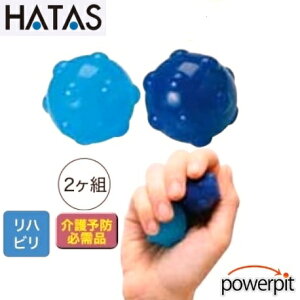 HATAS No.457 |^m[`F N~^w}bT[W[ ݉^ nr v\h FmǗ\h tC ReBuVh[ oG ƃg[jO   }bT