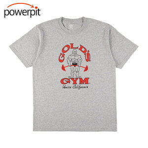 GOLD'S GYM xjXJtHjAT G5170 x[VbNTVc Venice California S[hW g[jO Be[W g[j[ EFA {TCY