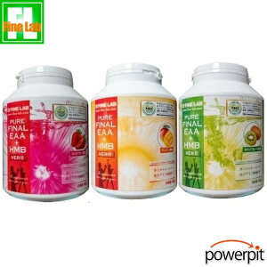 t@C{ sA t@CiEAA+HMB ver.2 400g 1 Iׂ܂ K{A~m_ HM GC`Gx[^ GC`Gr[ pE_[ ؃g ؗ̓Abv _CGbg  PureFinalEaa{HMB EssentialAm