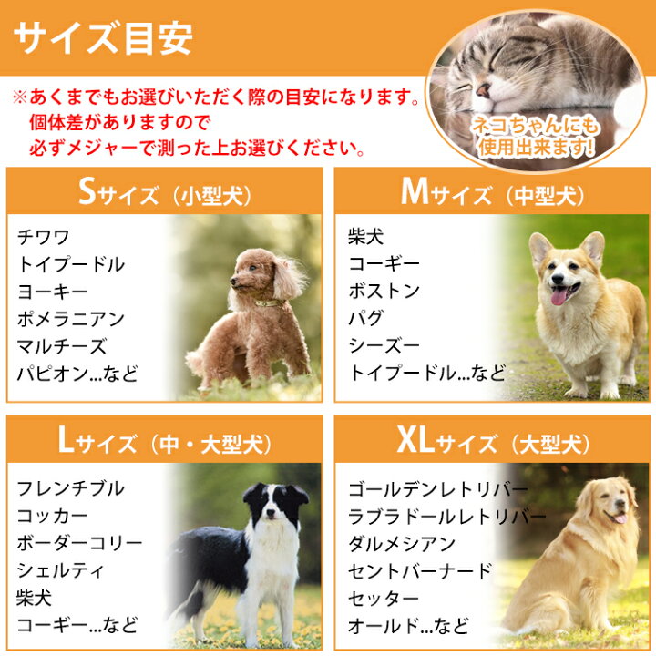 楽天市場 Tuners ジョイフル アニマル バランスバンド 1本入り 色とサイズが選べます あす楽 トルマリン 水晶 鉱石 ワンちゃん 犬 イヌ いぬ 猫 ネコ ねこ 重心 骨格 補正 姿勢 チューナーズ Joyful 株 Arts アーツ パワーピット楽天市場店