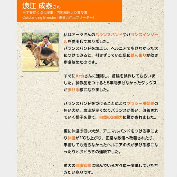 楽天市場 Tuners ジョイフル アニマル バランスバンド オレンジ色 1本入り サイズが選べます トルマリン 水晶 鉱石 ワンちゃん 犬 イヌ いぬ 猫 ネコ ねこ 重心 骨格 補正 姿勢 チューナーズ Joyful 株 Arts アーツ パワーピット楽天市場店