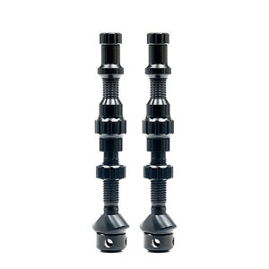 yVizStan's X^Y EXO-CORE VALVE SET GbNXI[RA ou Zbg ubN TALL55mm EXTRA TALL62mm V^`[uXou ]