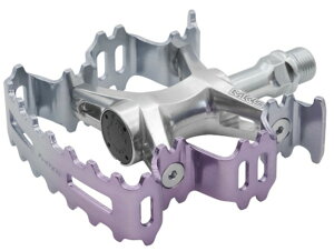 yVizMKS ~JV} Aurora y_ I[y_ O OxoCN Lv c[O NXoCN [hoCN ʋ ʊw TCNO ]