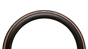 2{Zbg HUTCHINSON nb`\ Blackbird All season TLR ubNo[h I[V[Y TLR `[uXfB[ ȃZbg NXoCN [hoCN ʋΒʊw v JV ]