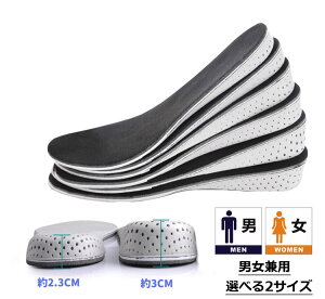 シークレットインソール 1足分 低反発 衝撃吸収 通気 防臭 中敷き 男女兼用 かかと 汎用 JL-SRCIS602 送料無料