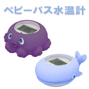 v v Ԃ̂C xr[oX  V C fW^xv HL-WTMP813