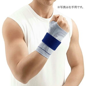 �y15�����̒����ő����o�ׁ^�����w��K�{�zBAUERFEIND �o�E�A�[�t�@�C���h ���p�T�|�[�^�[�}�j��Train