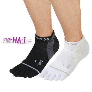 y15̒őoׁ^wK{zZAMST UXg \bNX^CvT|[^[ HA-1 5{w@bV ԂE