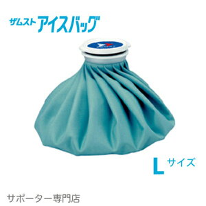 y15̒őoׁ^wK{zZAMST UXg ACXobO u[iLTCYEa26cmj