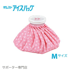 y15̒őoׁ^wK{zZAMST UXg ACXobO sN@iMTCYEa23cmj