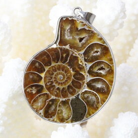 アンモナイト ペンダント｜Ammonite 化石 Ammonoidea アンモン貝 マリエラ 菊石 fossil アンモナイト ネックレス チャーム Pendant ペンダント Necklace 首輪｜メンズ レディース 一点物アイテム 天然石 アンモナイト【ポイント割引商品】