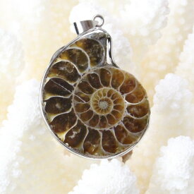 アンモナイト ペンダント｜化石 Ammonoidea アンモン貝 マリエラ 菊石 fossil アンモナイト ネックレス Pendant Necklace ペンダント チャーム 首輪｜メンズ Men's レディース Ladies 天然石 海外直輸入価格 アンモナイト【ポイント割引商品】