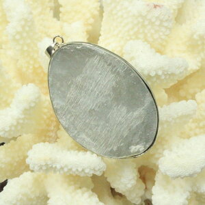 アバロンシェルペンダント|パウアシェルパウア貝アバロン貝あわびアバロンシェル【NecklacePendantネックレスペンダント】メンズMen'sレディースLadies天然石海外直輸入価格アバロンシェル
