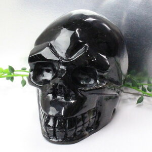 I ub Morion Iyu ǂ z    J^ CeAzY Men's fB[X VR  _ Iy|Cgiz