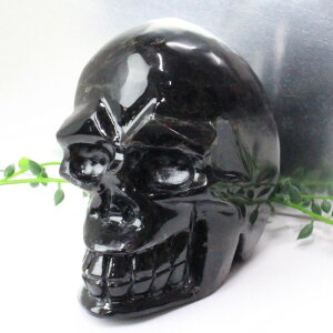 I ub Morion Iyu ǂ z    J^ CeAzY Men's fB[X Ladies  VR Iy|Cgiz