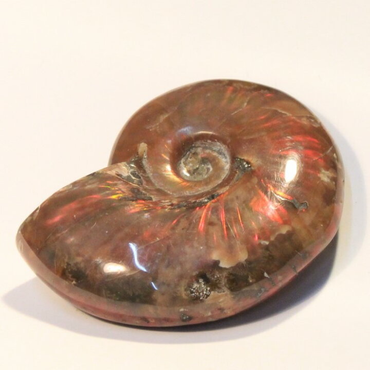 アンモナイト 化石|アンモライト アンモン貝 Ammonite レインボー fossil アンモナイト【置物 古代 化石 fossil 原石 鉱石 開運 インテリア 古生物 標本】メンズ Men アンモナイト化石