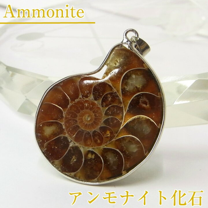 楽天市場】アンモナイト 化石 ペンダント｜レインボー Ammonite  