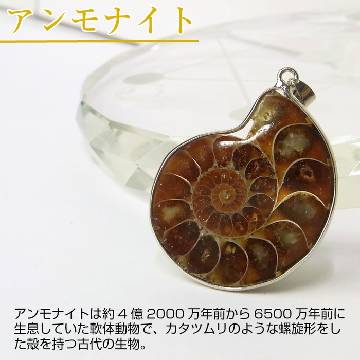 楽天市場】アンモナイト 化石 ペンダント｜レインボー Ammonite