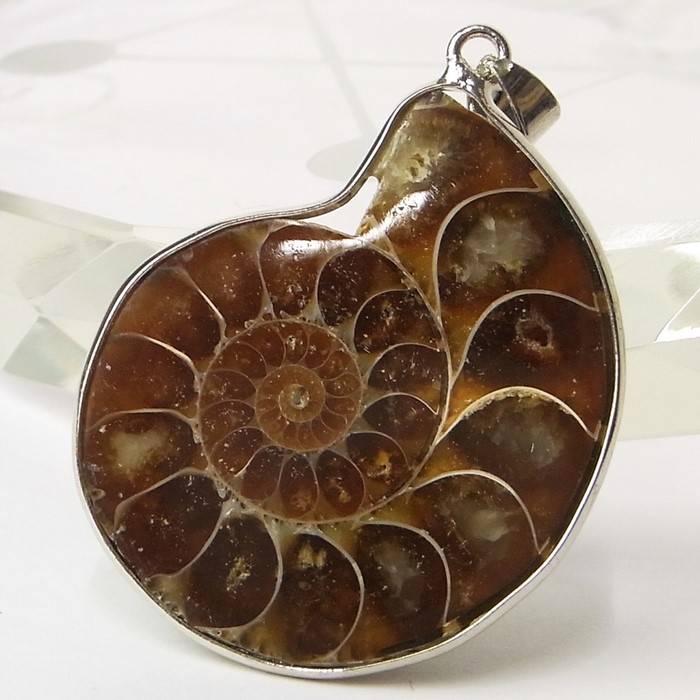 【楽天市場】アンモナイト 化石 ペンダント｜レインボー Ammonite