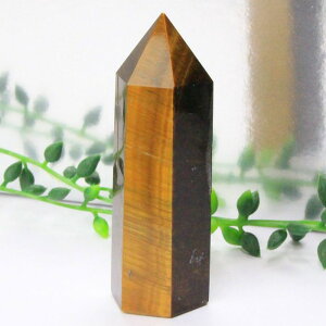 �^�C�K�[�A�C �|�C���g�bTigereye �^�C�K�[�Y�A�C �Ֆڐ� �^�C�K�[�A�C ���� ���^ �d���^ �����^ ���f�� �A�b�v �u�� �|�C���g �C���e���A Point �� �� �� �N���X�^�[�b�����Y ���f�B�[�X �V�R