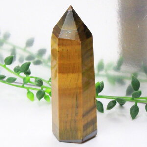 �^�C�K�[�A�C �|�C���g�b�Ֆڐ� Tigereye �^�C�K�[�Y�A�C �L���b�c�A�C �^�C�K�[�A�C ���� �� Point �� �� �u�� �� �N���X�^�[�b�����Y ���f�B�[�X �l�C �������� �V�R�� �C�O���A�� �^�C�K