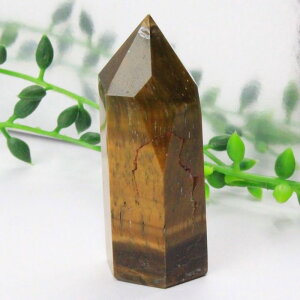 �^�C�K�[�A�C �|�C���g�bTigereye �^�C�K�[�Y�A�C �Ֆڐ� �^�C�K�[�A�C ���� ���^ �d���^ �����^ ���f�� �A�b�v �u�� �|�C���g �C���e���A Point �� �� �� �N���X�^�[�b�����Y ���f�B�[�X �V�R